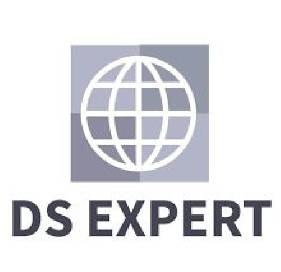 Logo DS EXPERT